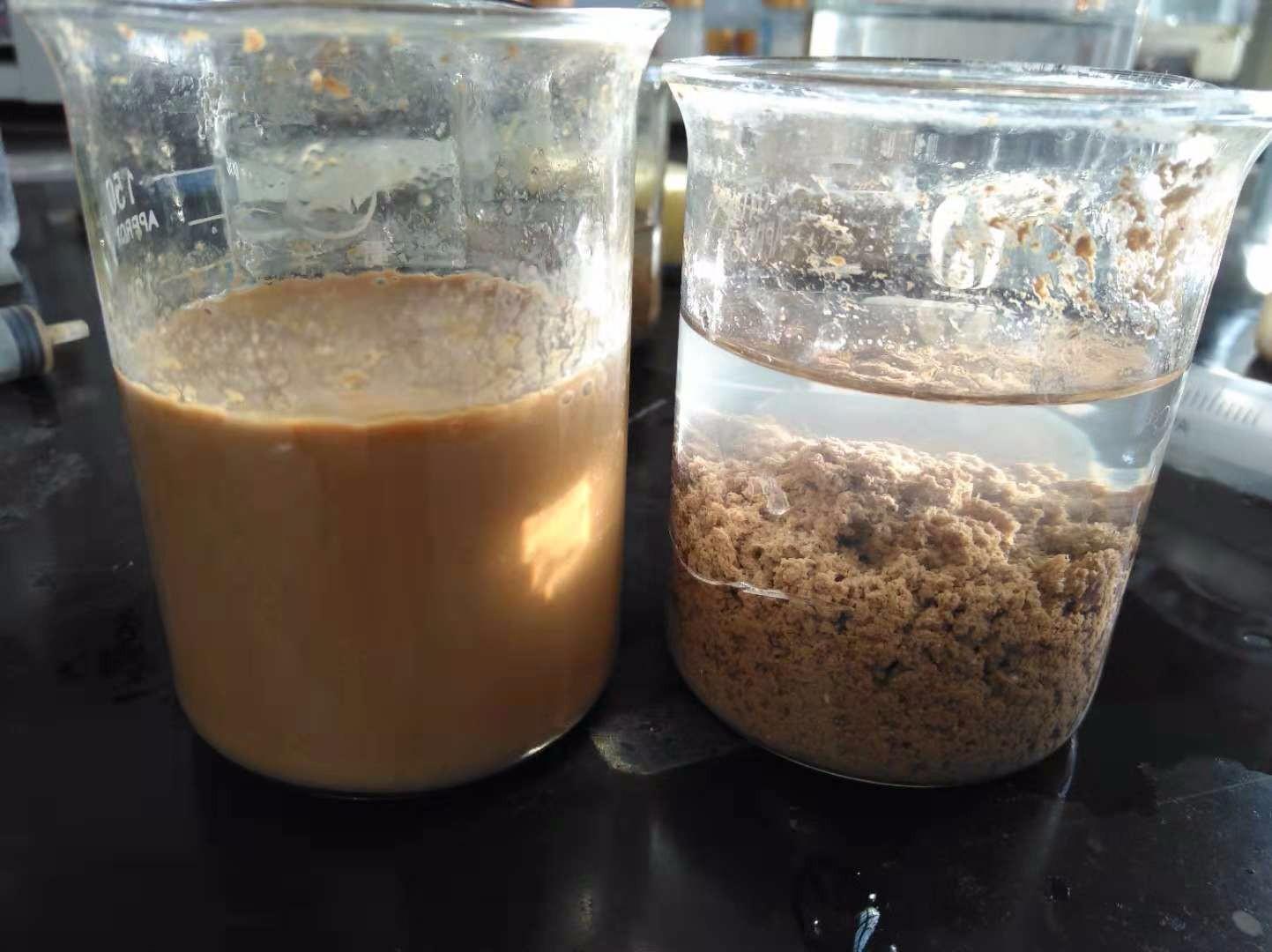 <a href='http://m.ss-word.com/jsyj/992.html' target='_blank'><u>非離子聚丙烯酰胺生產廠家</u></a>