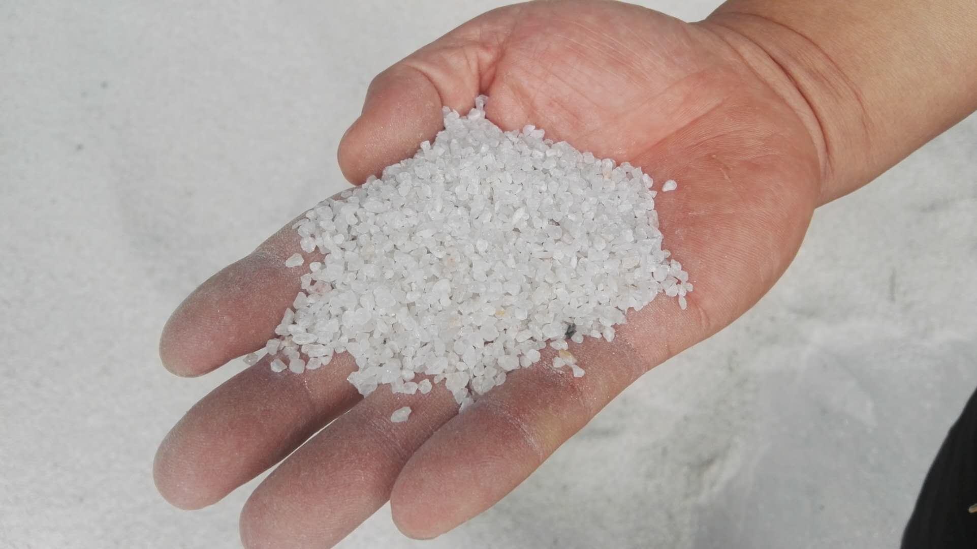 <a href='http://m.ss-word.com/jsll/5.html' target='_blank'><u>石英砂濾料生產(chǎn)廠家</u></a>